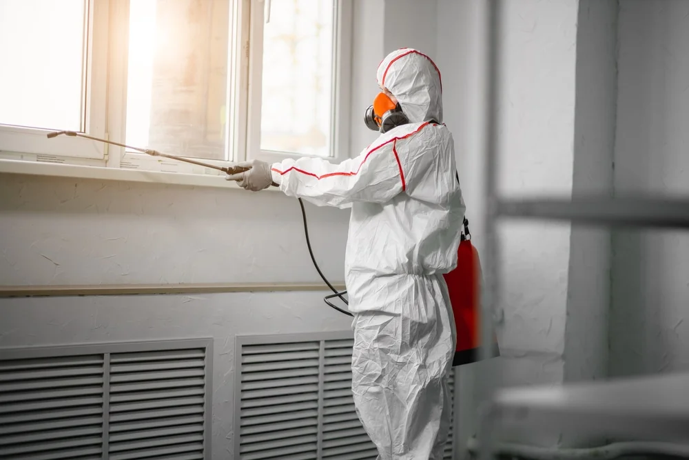 Professional mold remediation services in Ocklawaha, FL